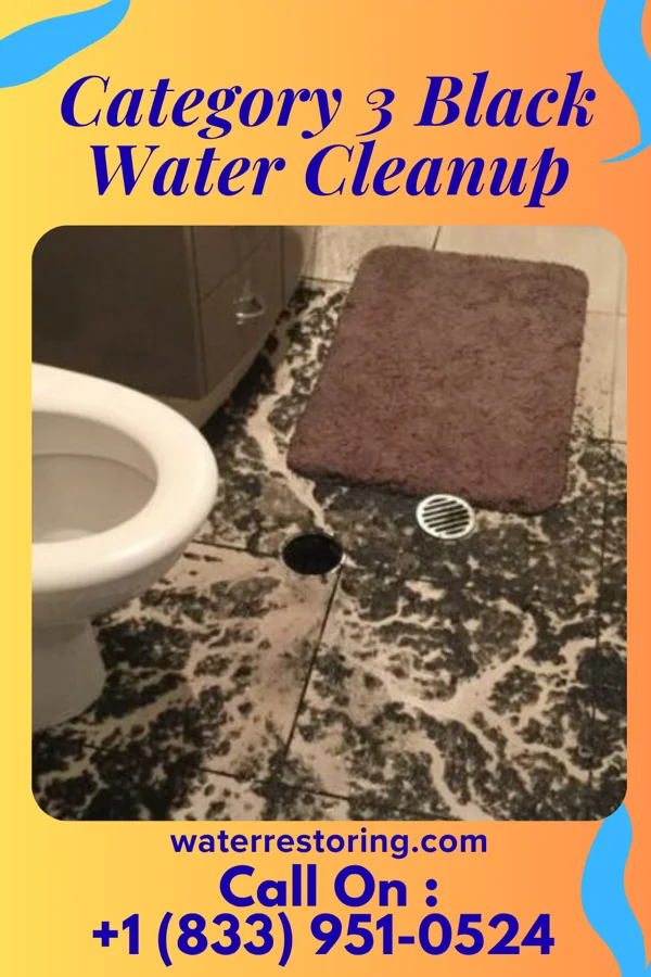 Category 3 Black Water Cleanup in Acres Green, CO
